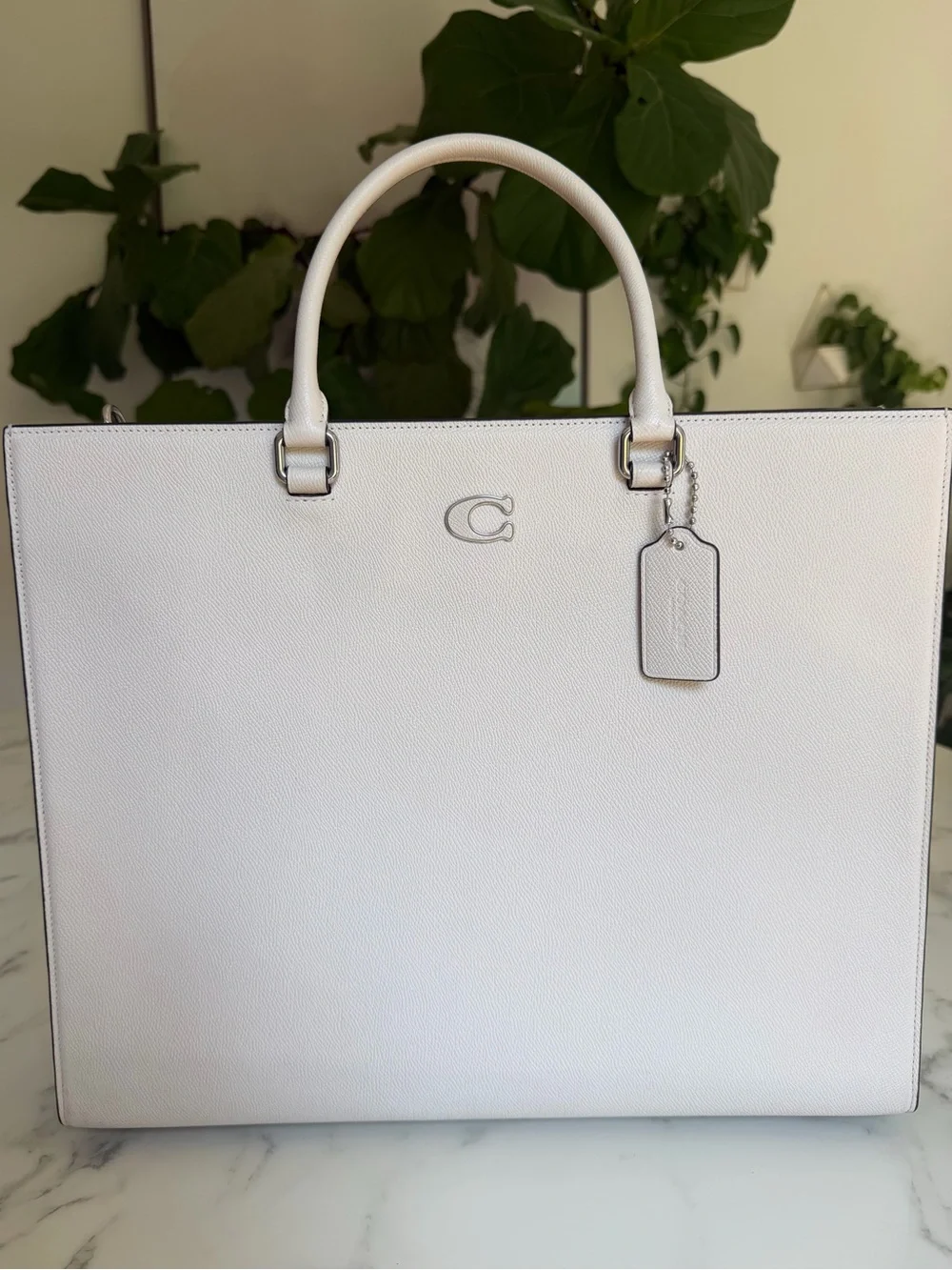 Coach Tote Bag 40 With Signature Canvas Chalk Leather Webbing Strap Unisex CJ844